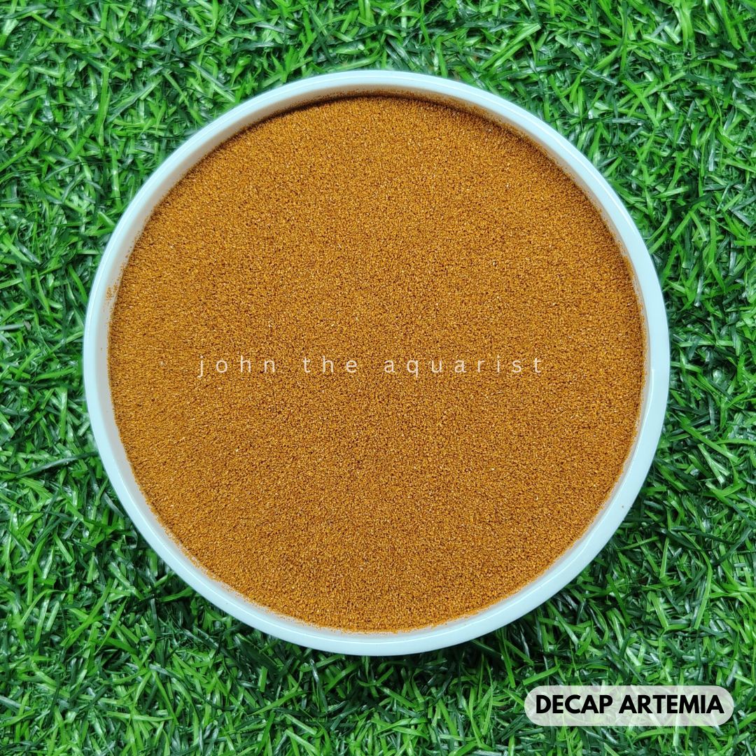DECAPSULATED ARTEMIA - 100 Gms