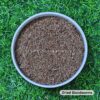 DRIED BLOOD WORMS - 100 Gms