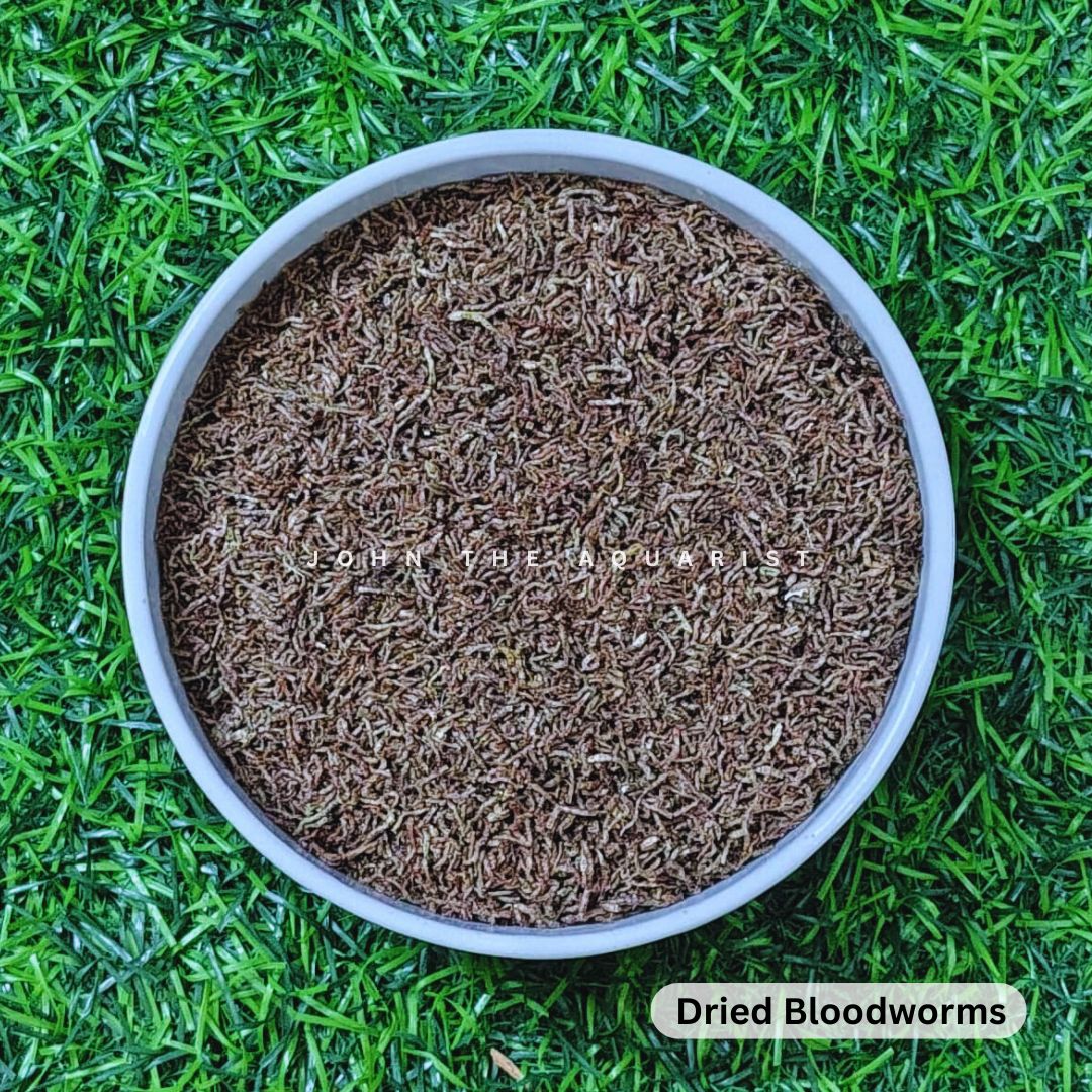 DRIED BLOOD WORMS - 100 Gms