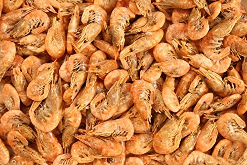 #shrimp food