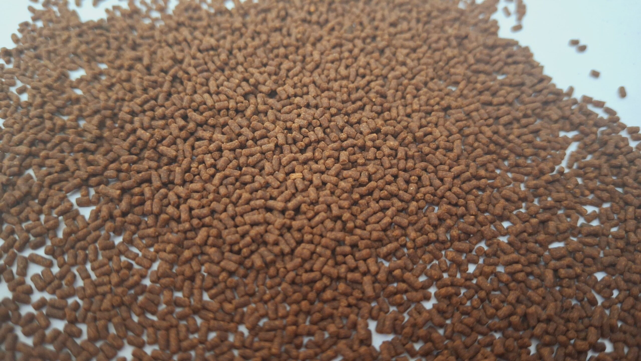KRILL PELLETS - 100 Gms - Image 2