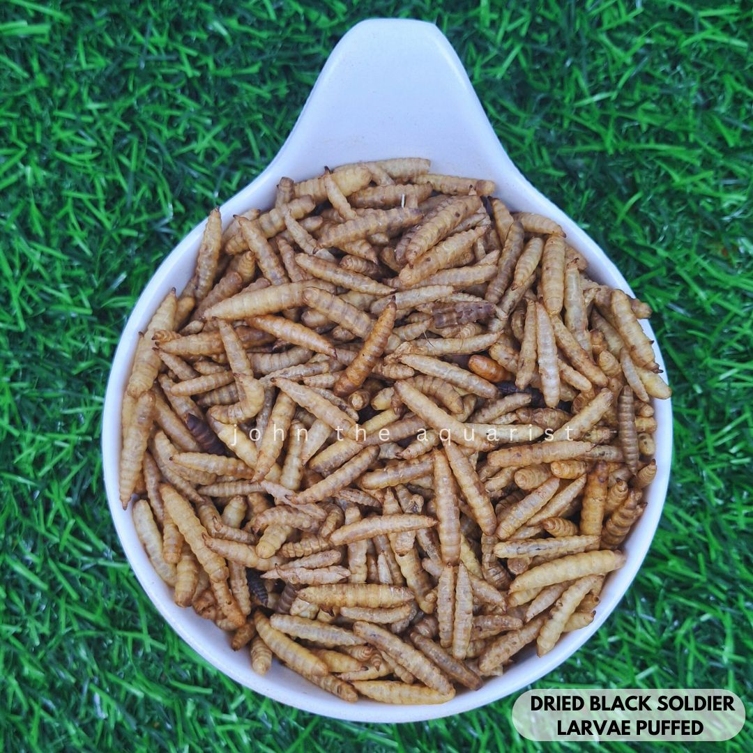 BLACK SOLDIER LARVAE PUFFED - 1 Kg