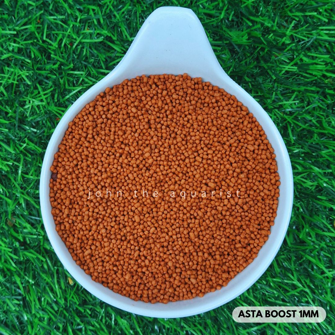 ASTA BOOST 1mm - 100 Gms