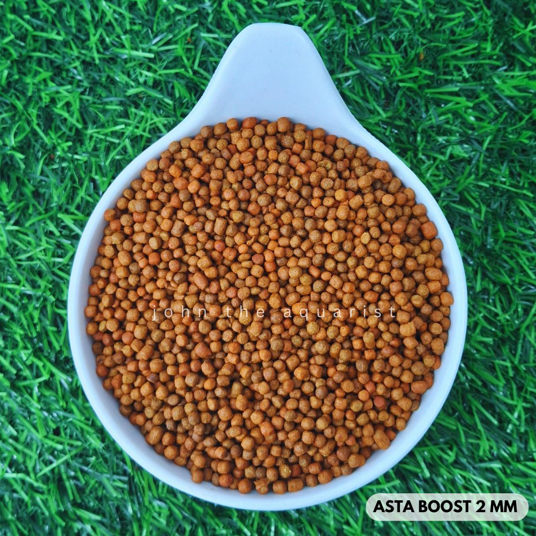 ASTA BOOST 2mm - 100 Gms