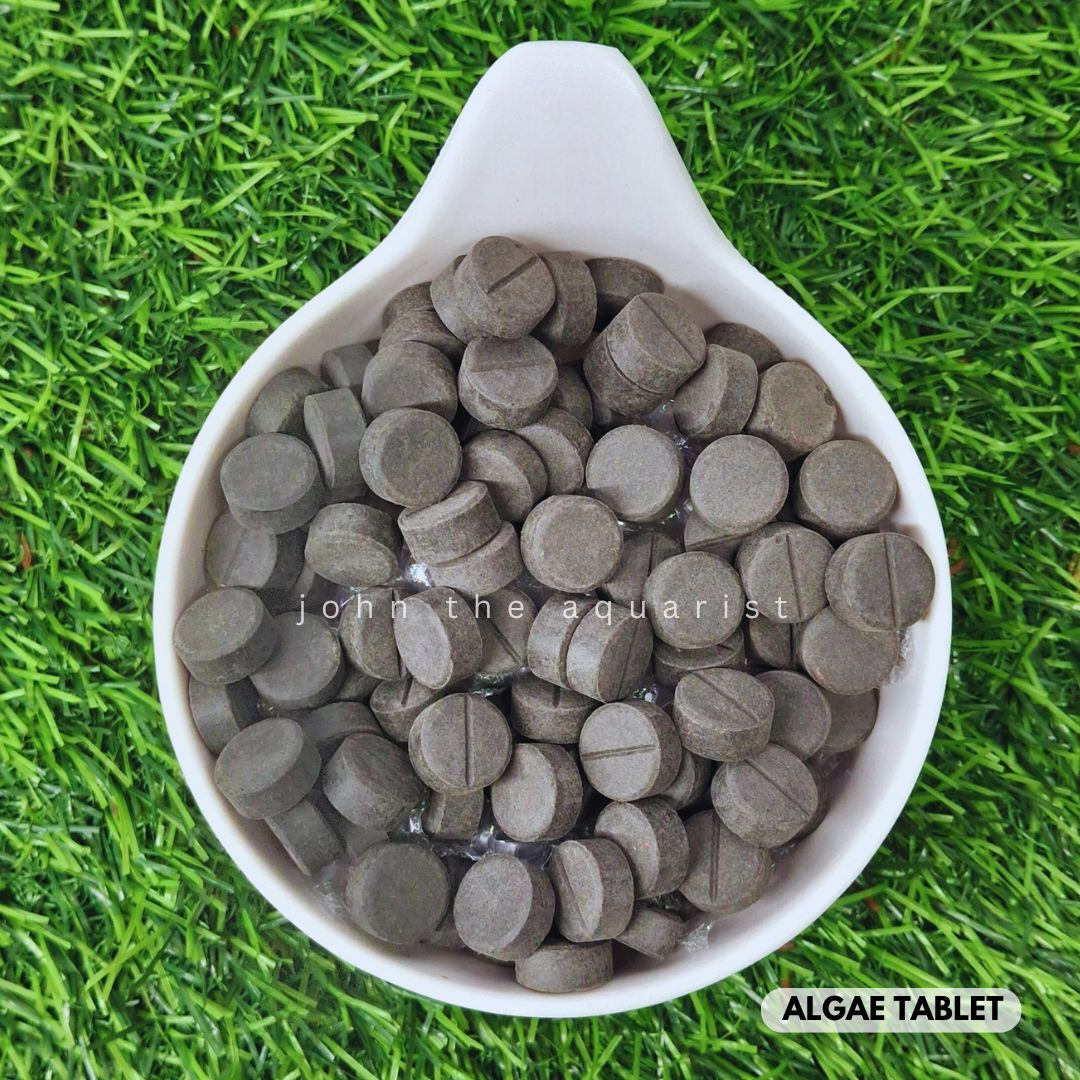 OCEAN TREAT ALGAE TABLETS - 100 Gms
