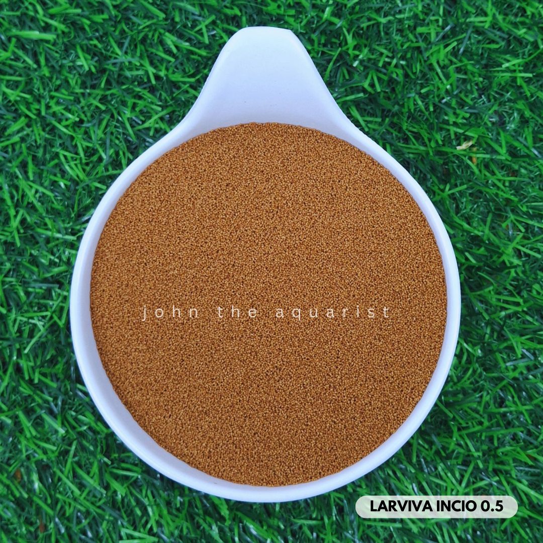 LARVIVA NURSERY 0.5 mm - 100 Gms