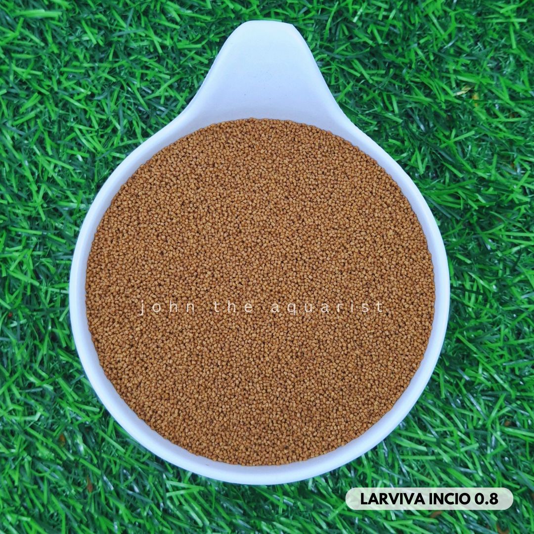 LARVIVA NURSERY 0.8 mm - 100 Gms