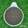 ALGAE PELLETS - 100 Gms