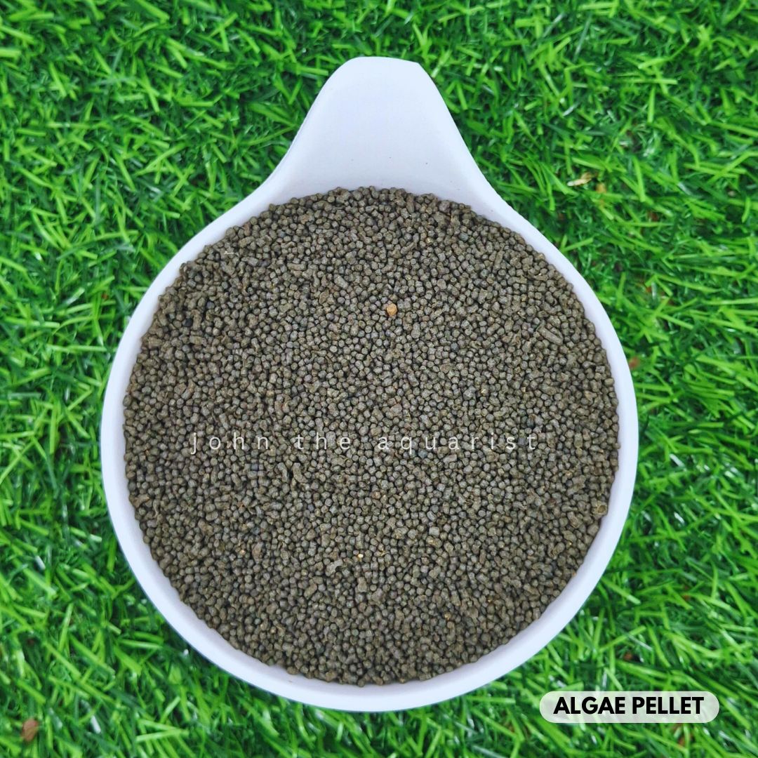 ALGAE PELLETS - 100 Gms
