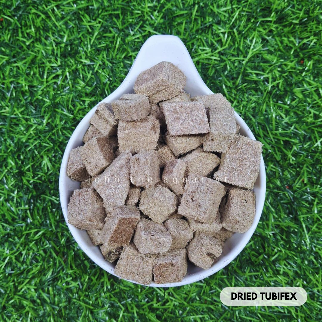 DRIED TUBIFEX - 100 Gms