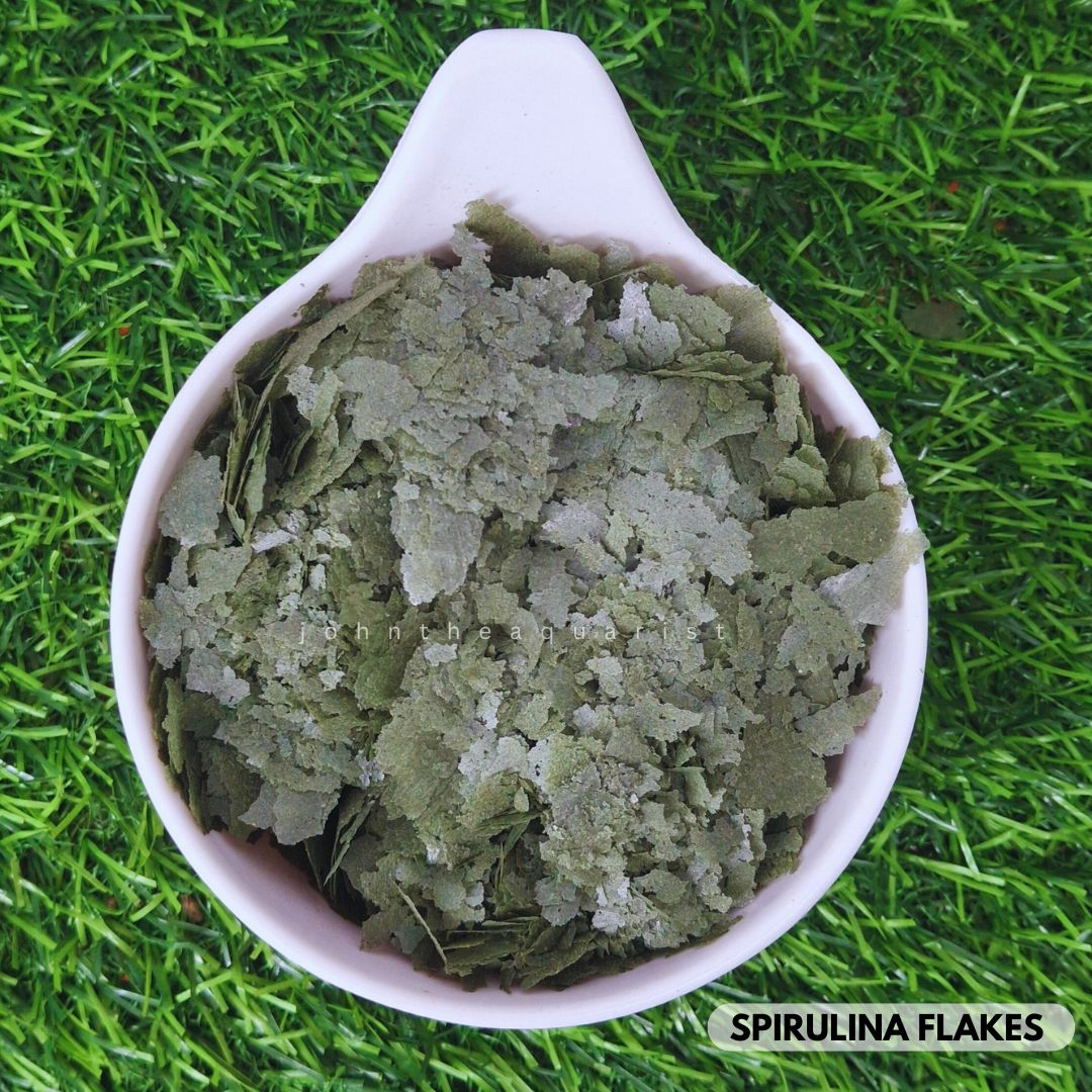 SPIRULINA FLAKES - 100 Gms