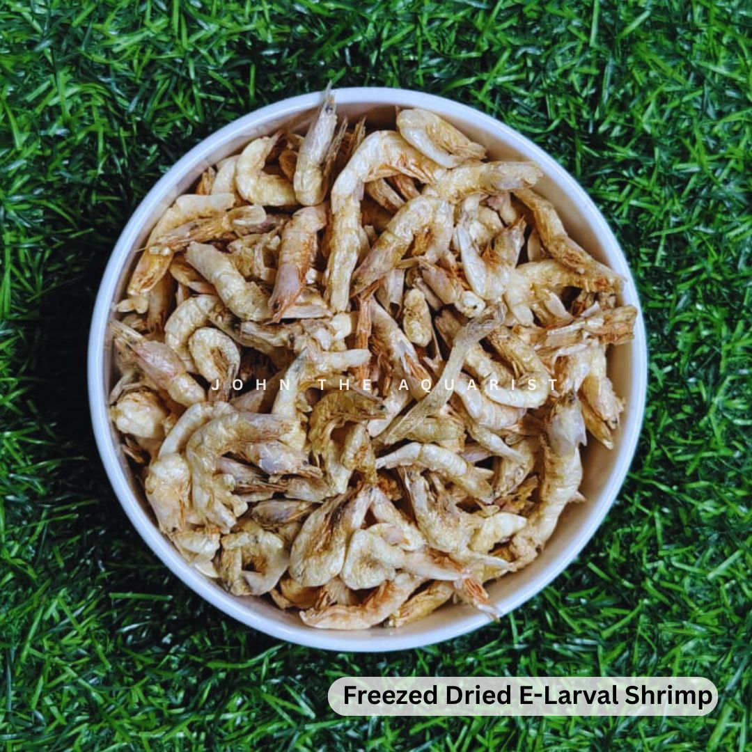 FREEZED DRIED E-LARVAL SHRIMPS - 100 gms